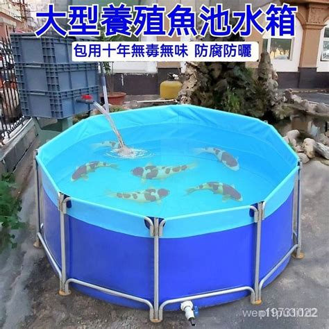 魚池養魚|如何打造戶外魚池並保持水質